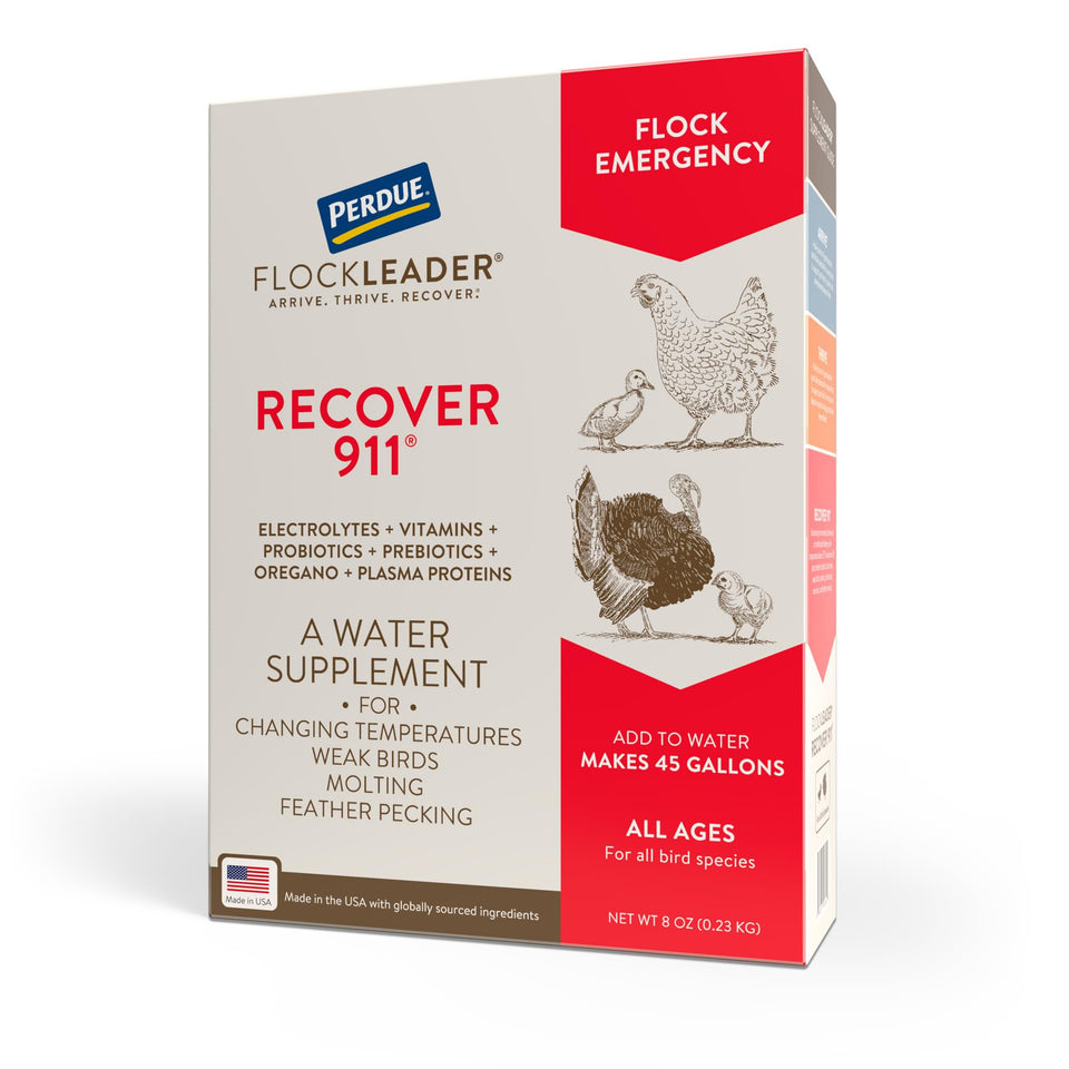 FLOCKLEADER Recover 911 bottle front highlights stress support for poultry.
