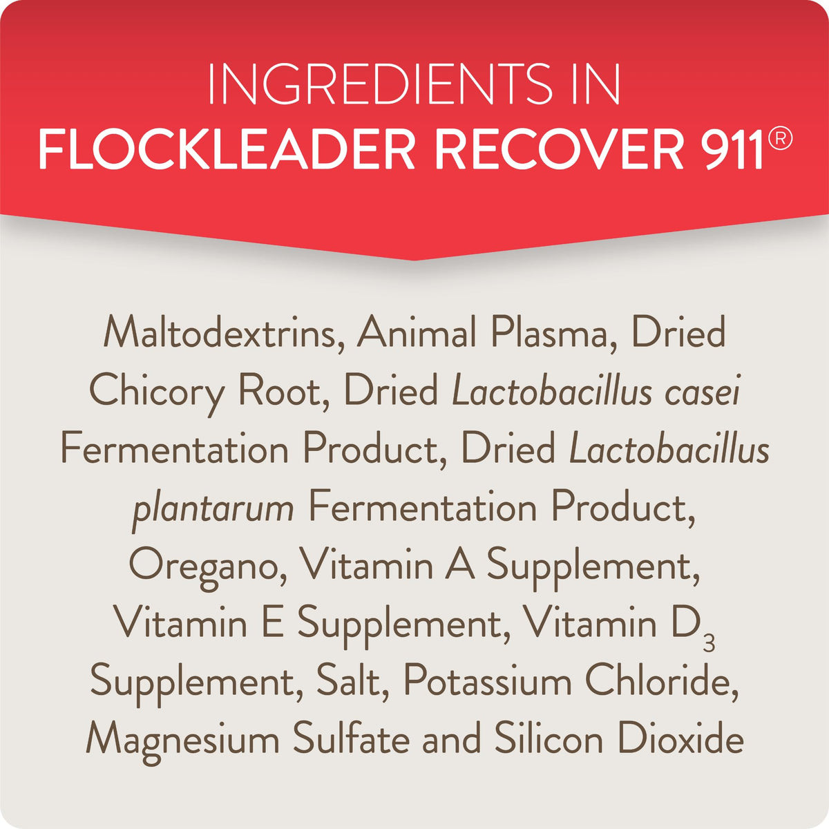 Chicks drink water with FLOCKLEADER Recover 911 in a coop setting.