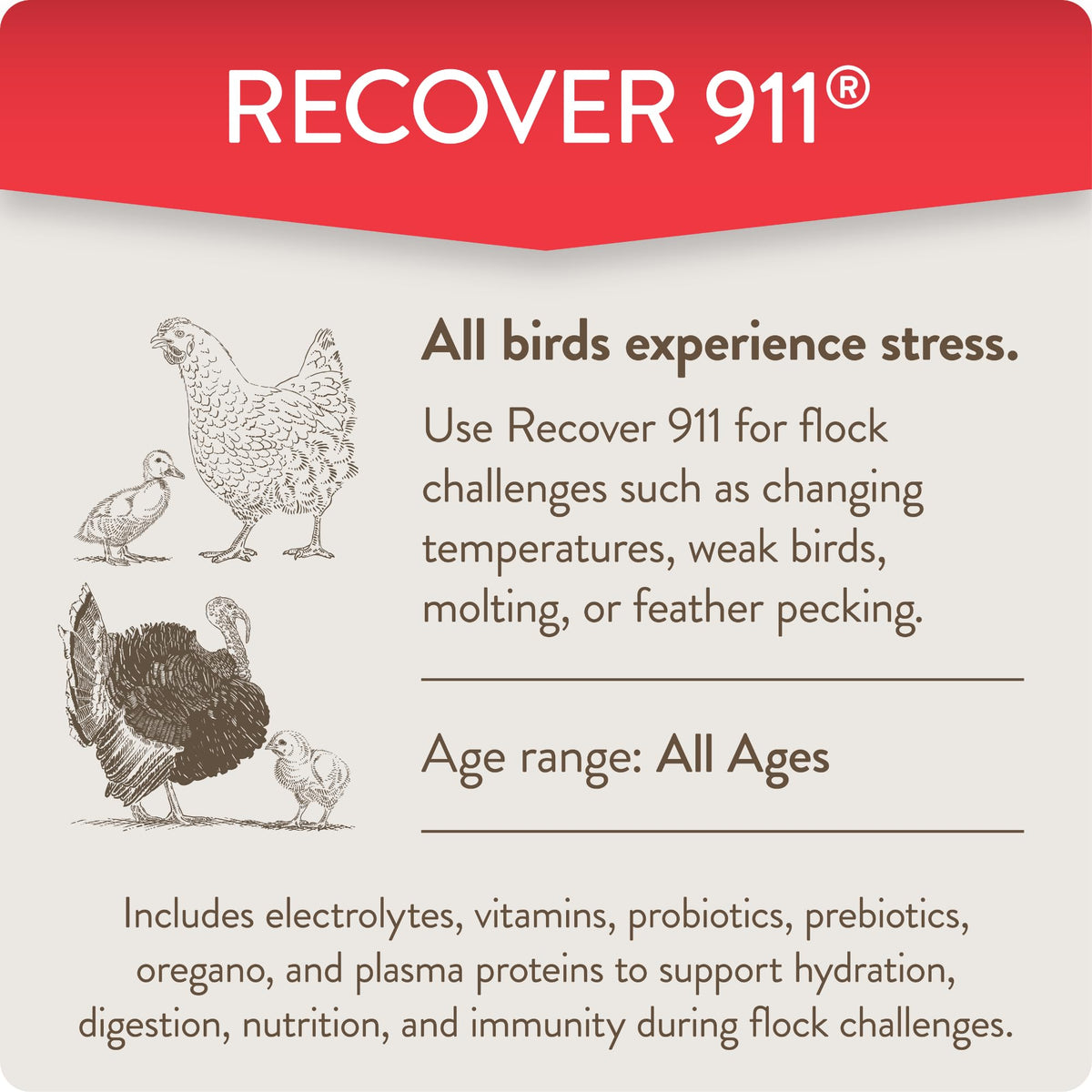 FLOCKLEADER Recover 911 measuring teaspoon shows precise dosing for flock care.