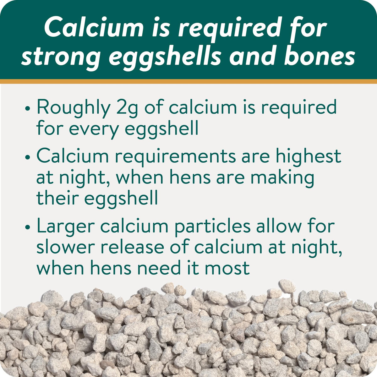 Packaging for FLOCKLEADER Shell & Bone Builder shows a USA-made formula for safe poultry nutrition.