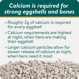 Packaging for FLOCKLEADER Shell & Bone Builder shows a USA-made formula for safe poultry nutrition.
