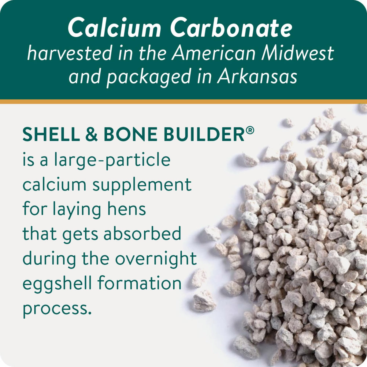 Pouring Shell & Bone Builder powder demonstrates easy overnight dosing.