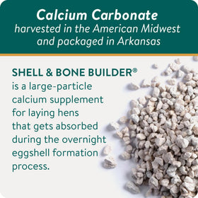 Pouring Shell & Bone Builder powder demonstrates easy overnight dosing.