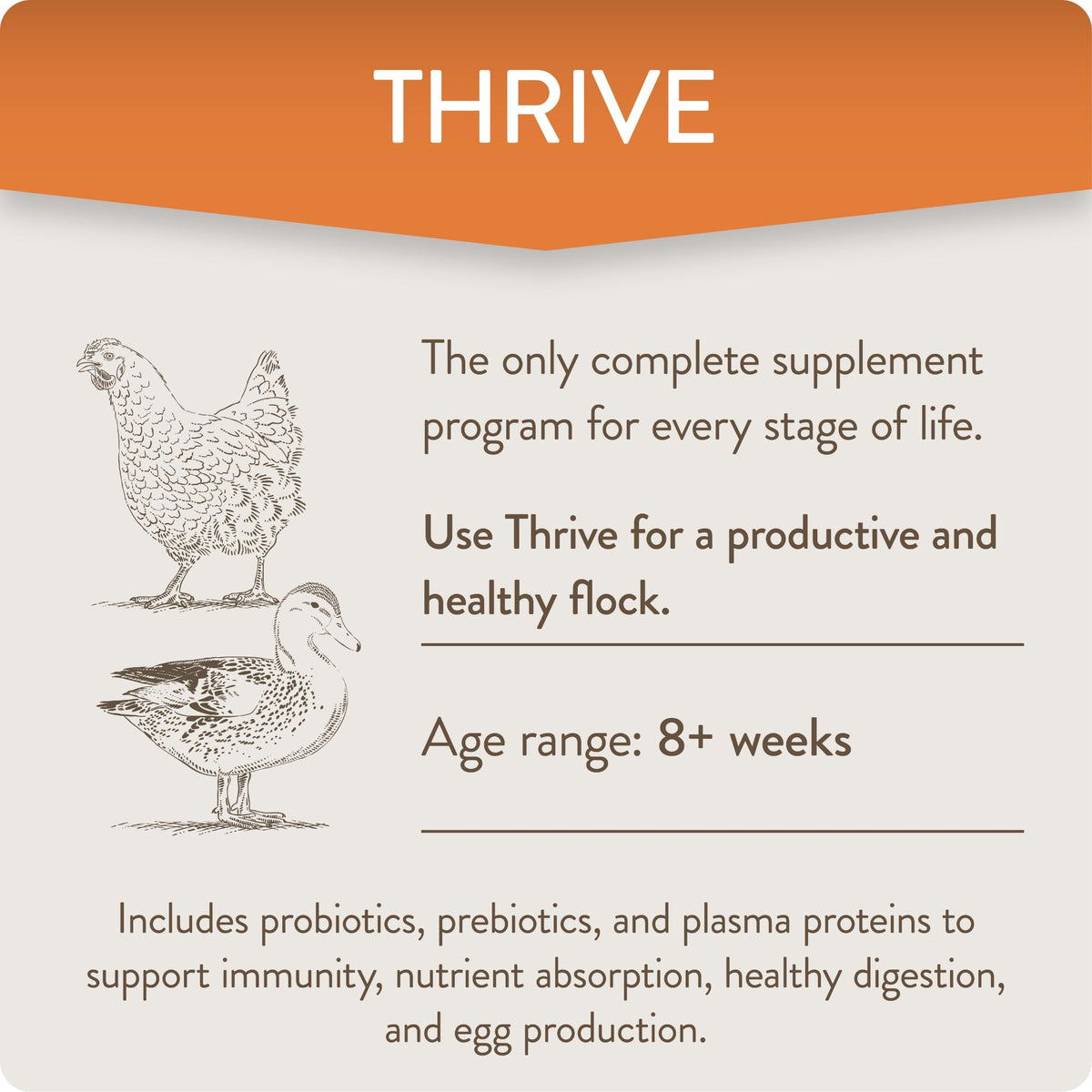 Thrive dissolving in water demonstrates convenient on-water administration.
