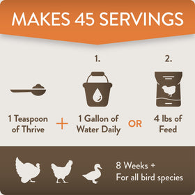 Poultry drinking water with Thrive mixed in shows practical use.