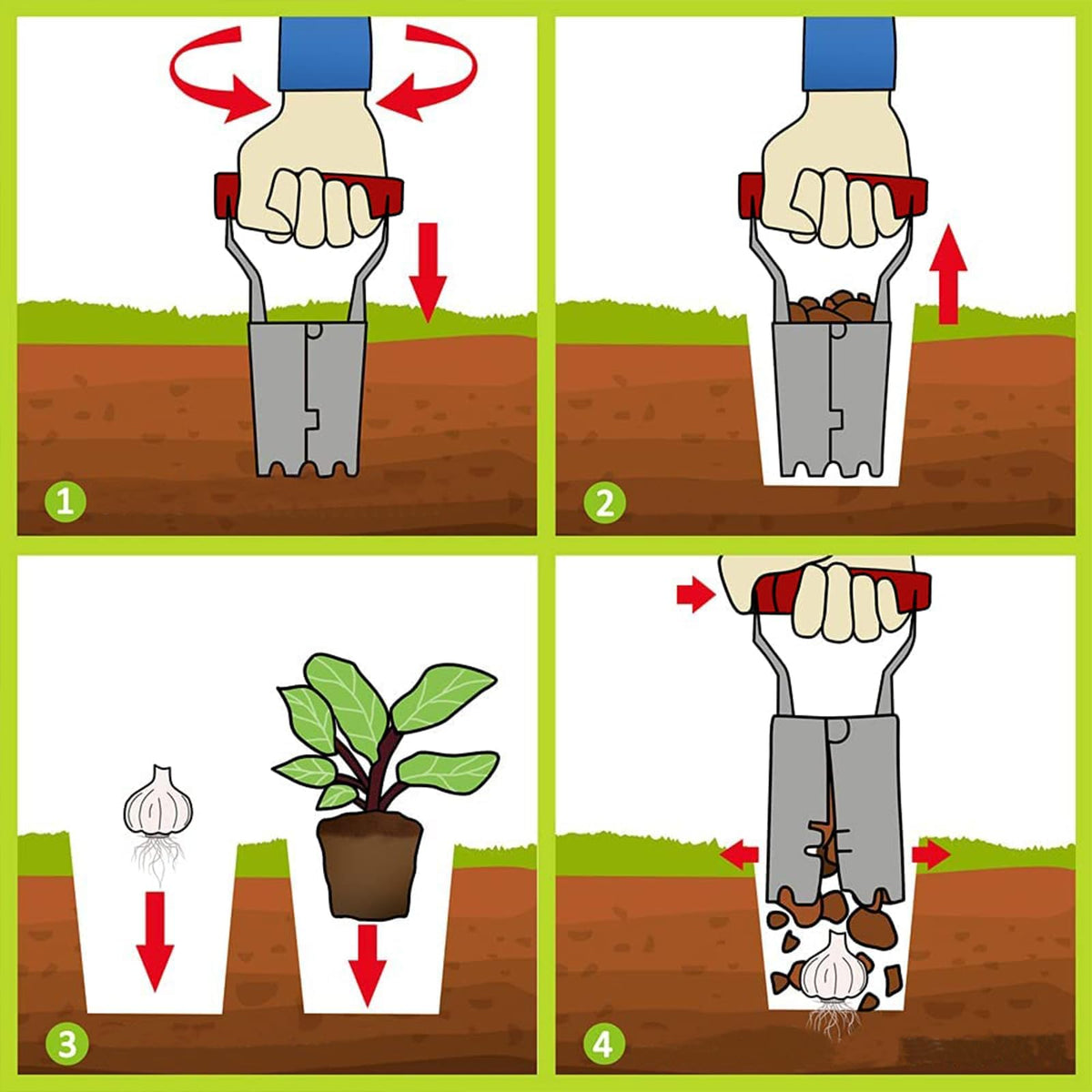 Versatile tool for tulips, daffodils, dahlias, garlic, onions, and more.