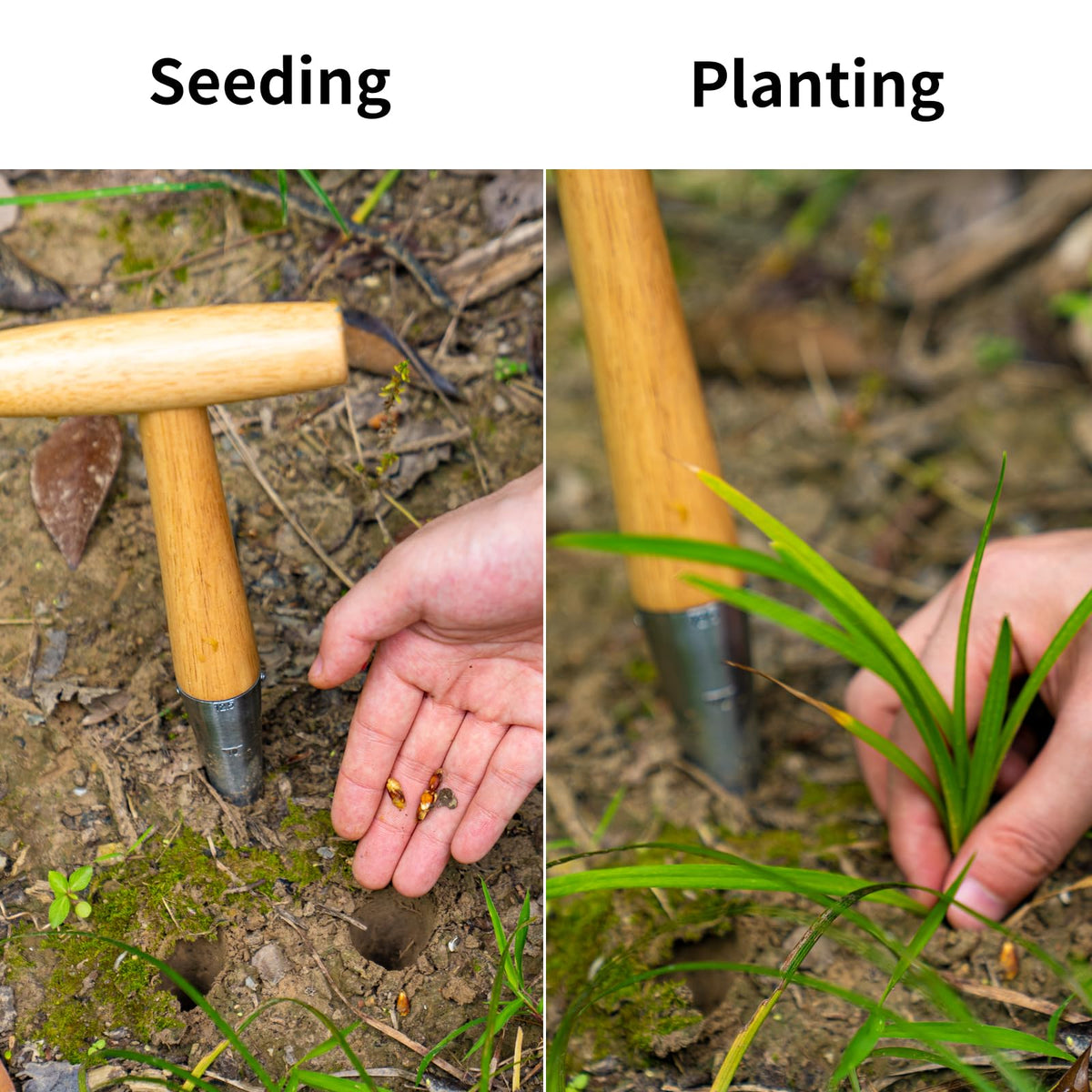 FLORA GUARD seed planter in action demonstrating efficient hole creation in beds.