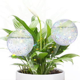 FLORA GUARD RainbowGlass globes in soil deliver steady moisture for indoor plants.