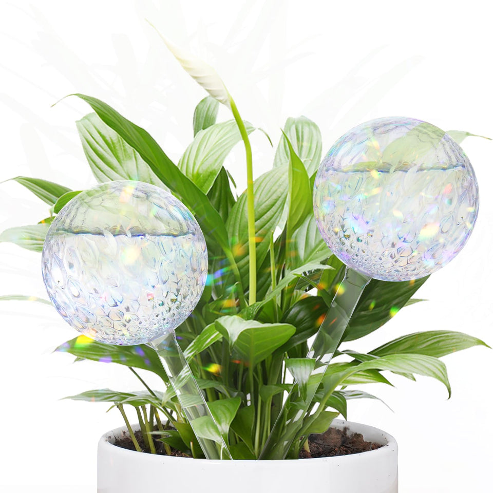 FLORA GUARD RainbowGlass globes in soil deliver steady moisture for indoor plants.
