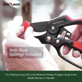 Flora Guard ratchet pruning shears hedge pruning for shrubs.