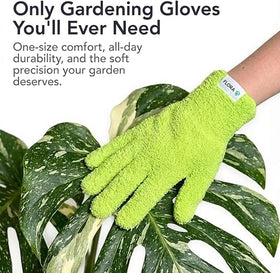 Flora Microfiber Dusting Gloves remove dust from broad leaves with care.
