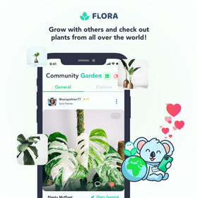 Global community image representing 300k plant parents connected.