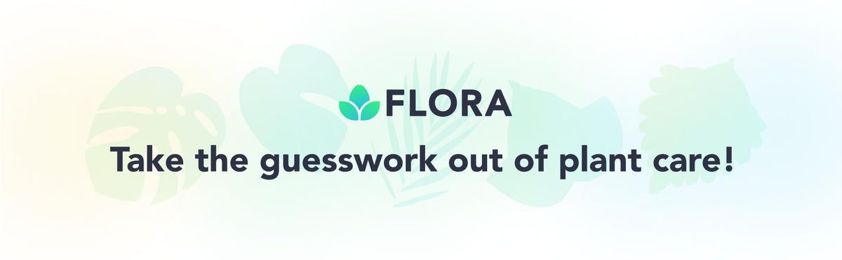 Flora app shows smart coaching tips and reminders.