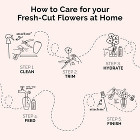 FloraLife Finishing Touch arrangement care keeps stems strong and flowers hydrated