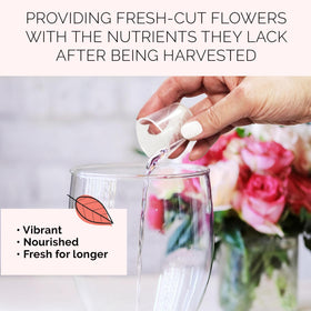 FloraLife nectar-like formula supporting vibrant arrangements in water.