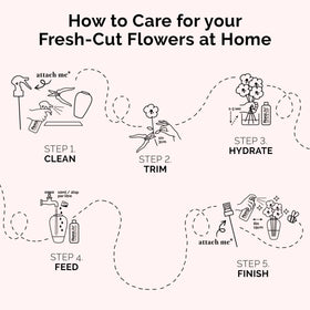 Concentrated care for fresh-cut stems with FloraLife post-harvest solution.