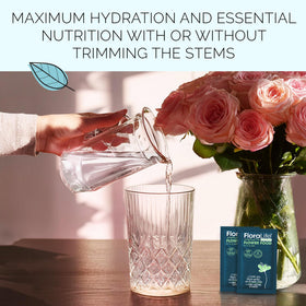 FloraLife post-harvest care solution for florals
