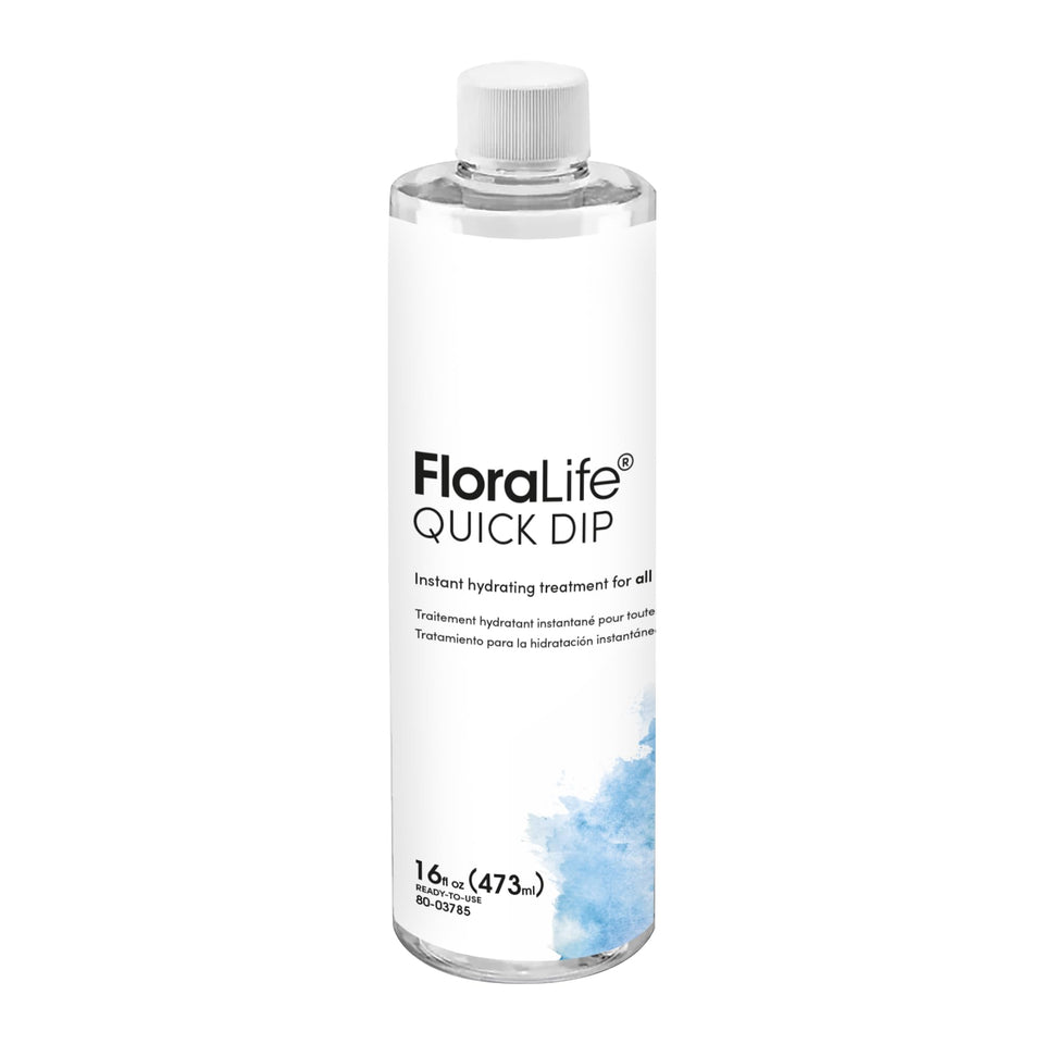 FloraLife Quick Dip bottle front view for rapid flower hydration