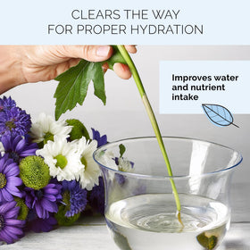 FloraLife Quick Dip helps extend vase life with hydrated stems.