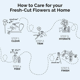 FloraLife Quick Dip is ideal for home use after harvest to hydrate flowers.