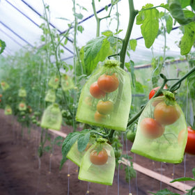 Green bags with double-pull drawstrings for secure fit