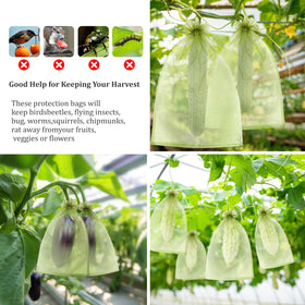 Breathable FloraSea 6x9 netting allows airflow around tomatoes