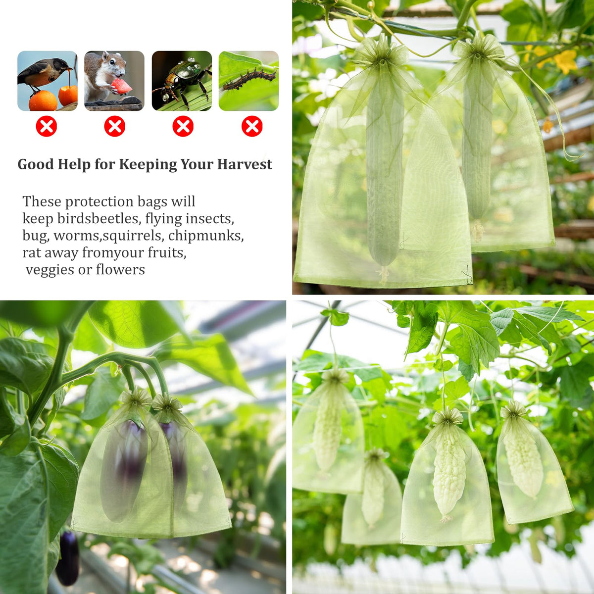 FloraSea breathable mesh design promotes airflow to reduce moisture around fruit.