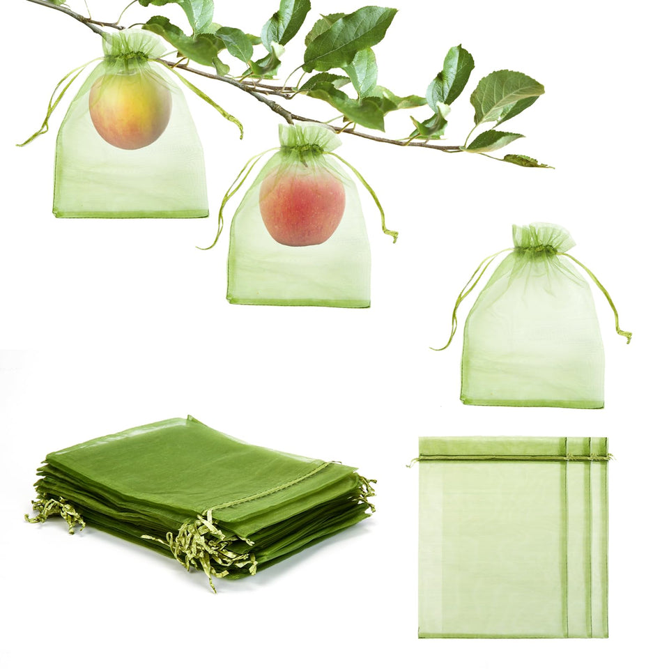 FloraSea 6x9 fruit bag on apple tree shields fruit from pests