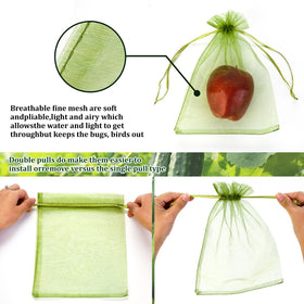 Reusable green FloraSea fruit bag protects nectarines from birds