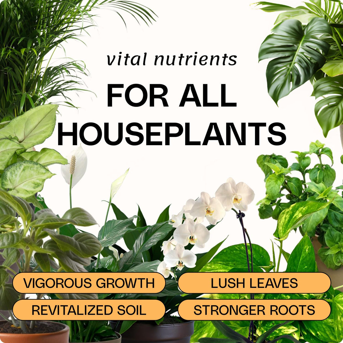 Eco-friendly ingredients powering Flourish formula for sustainable gardening
