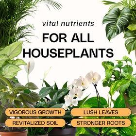 Eco-friendly ingredients powering Flourish formula for sustainable gardening