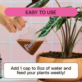 Flourish, a woman-owned brand empowering sustainable plant care