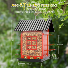 FlowaFoli outdoor feeder simple to monitor seed levels through windows.