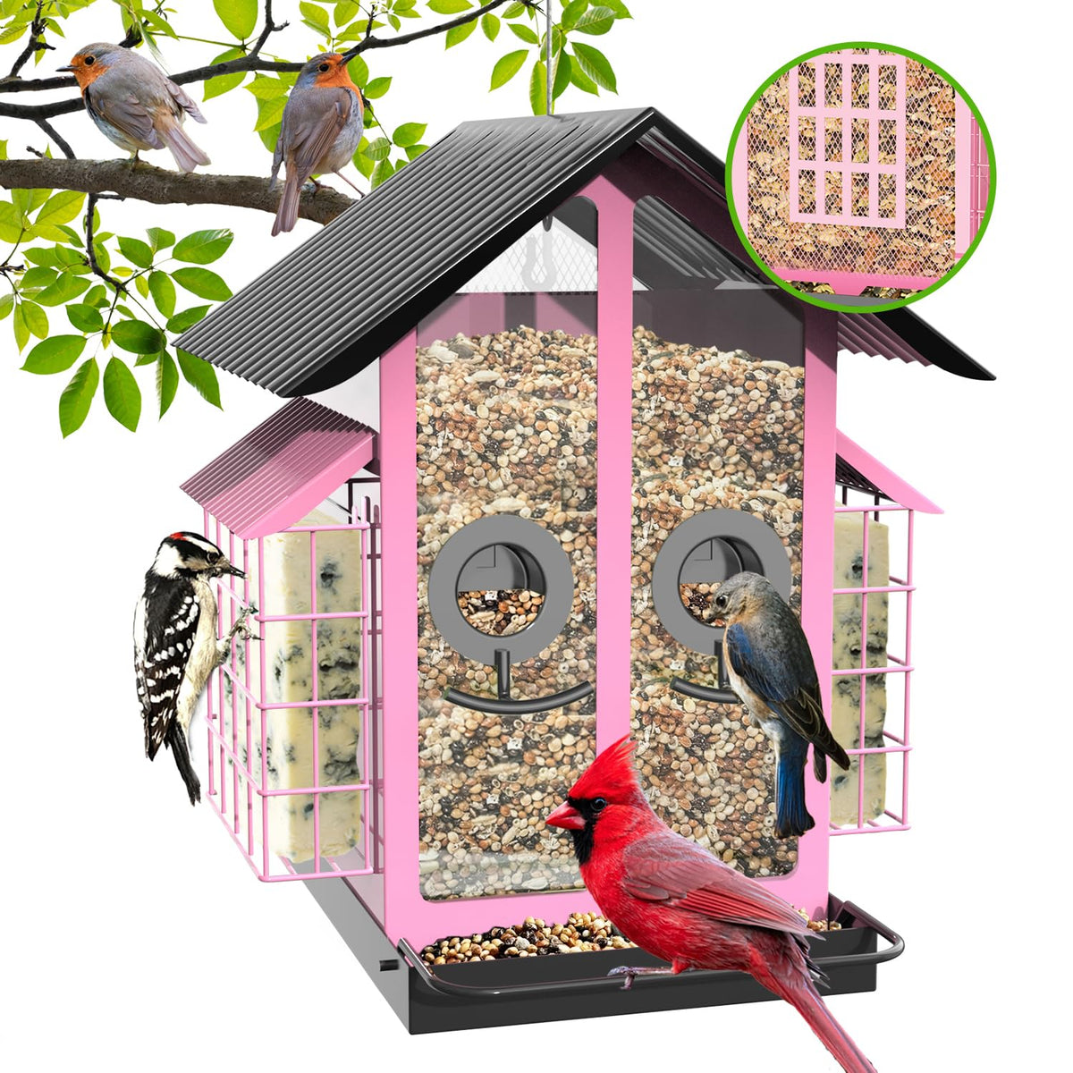 FlowaFoli bird feeder with double suet cages attracts a range of birds from small finches to larger species