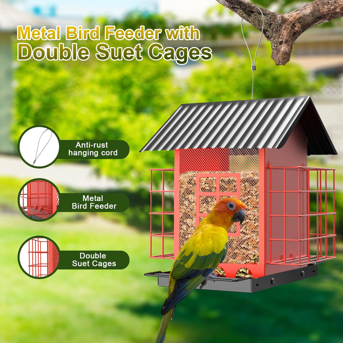 FlowaFoli large-capacity feeder holds 3.7 lbs of seeds for longer feeding.