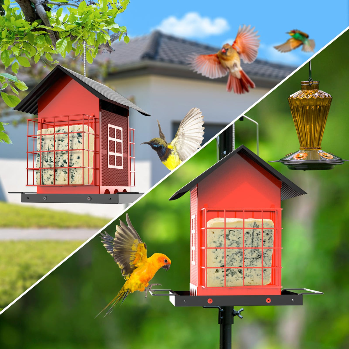 FlowaFoli double-suet cage design doubles feeding options for birds.