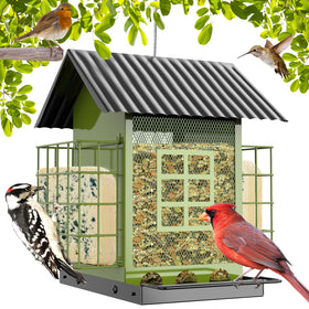 FlowaFoli bird feeder with double suet cages attracts a variety of backyard birds.