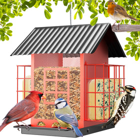 FlowaFoli outdoor bird feeder with double suet cage attracts diverse backyard birds.