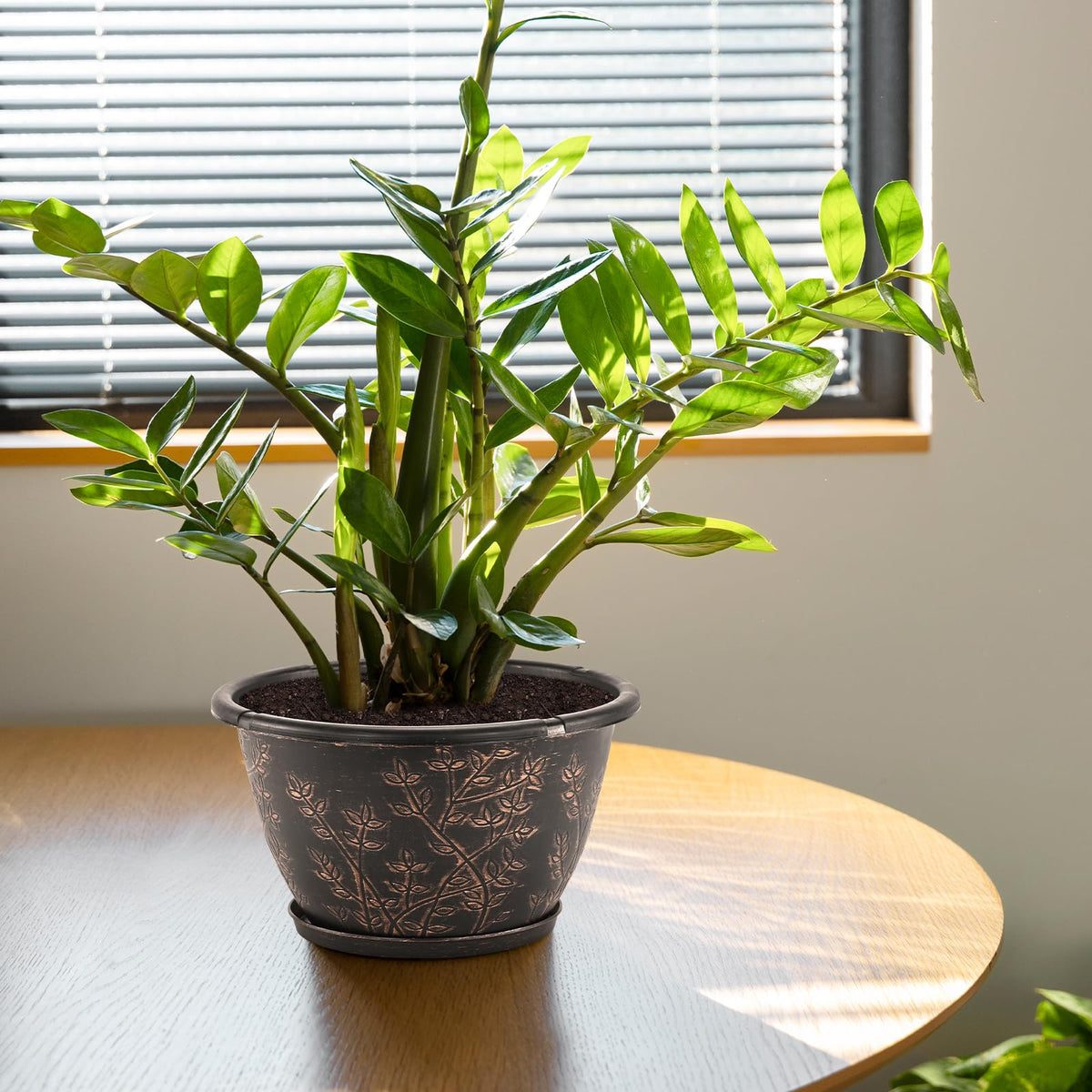 Flowyypo 4-pack flower pots offer cohesive plant styling.