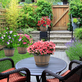 Flowyypo decorative pots brighten windowsills, balconies, and living spaces.