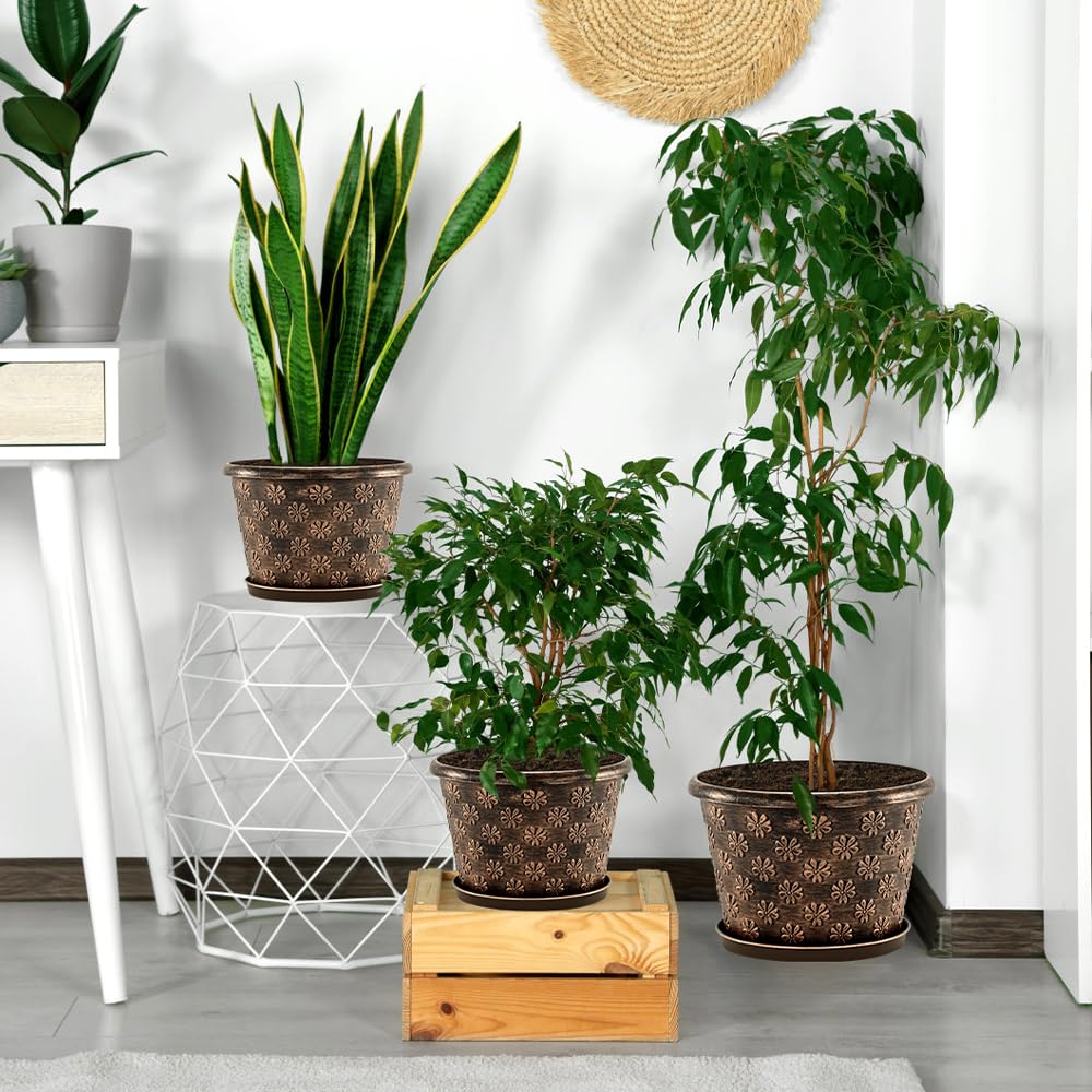 Flowyypo indoor-outdoor plant pot provides versatile decor and easy maintenance