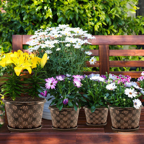 Flowyypo large planter shows drainage hole and removable saucer for watering