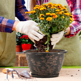 Flowyypo retro etched design pot adds vintage charm to any space.
