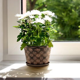 Flowyypo retro-style flower pot adds nostalgic charm to any space.
