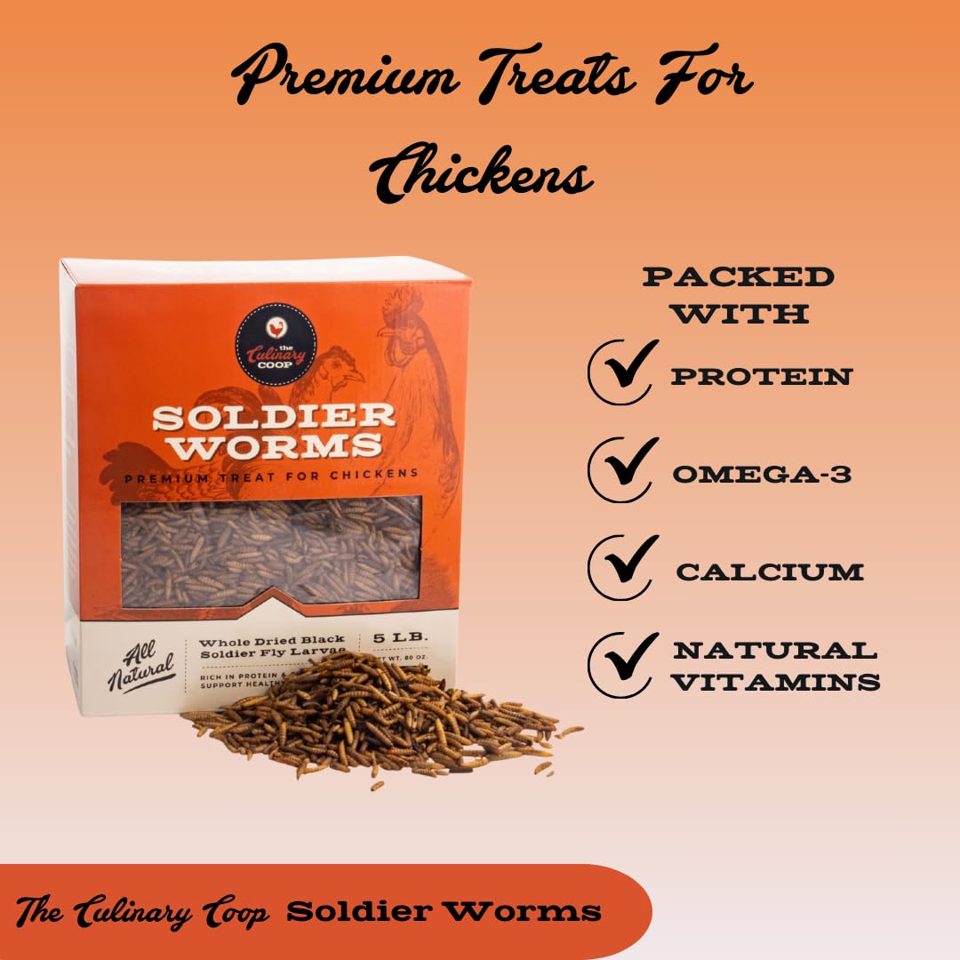 Fluker's dried soldierworms serving as a protein-packed chicken treat.
