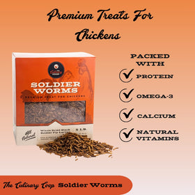 Fluker's dried soldierworms serving as a protein-packed chicken treat.