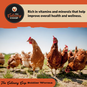 Fluker's soldierworms omega-3 rich for healthier eggs.