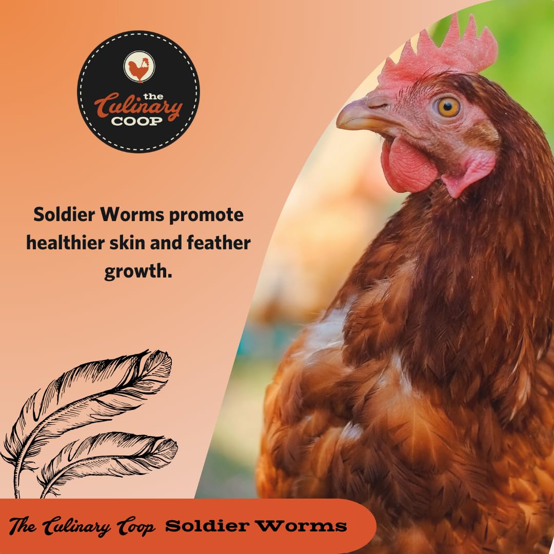 Fluker's soldierworms for reptiles—tasty gecko and turtle snack.