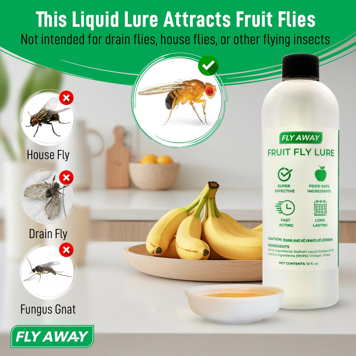 Fly Away Liquid Lure bar area used indoors for effective trapping
