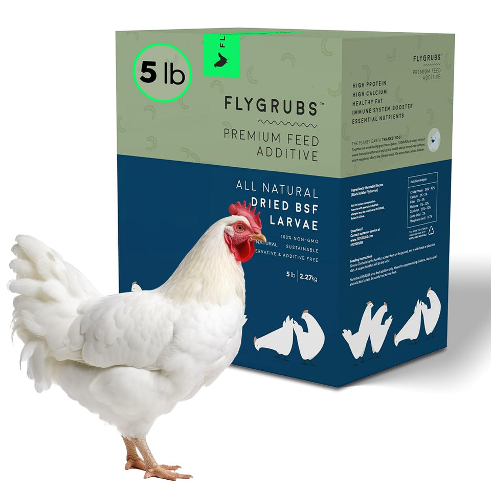 Flygrubs 5lb dried larvae bag with resealable packaging for convenient backyard feeding.